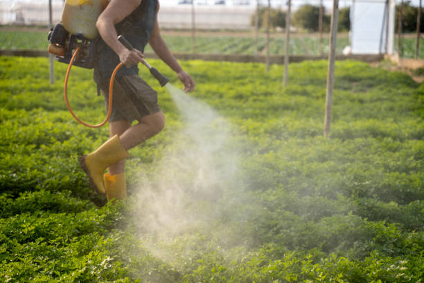Trusted Huntington, UT Pest Control Experts
