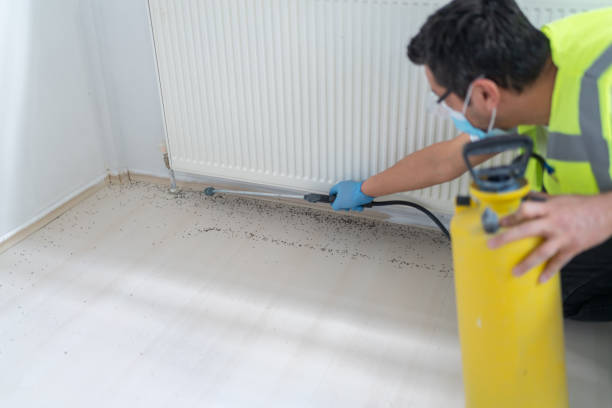 Best Local Pest Control Services  in Huntington, UT